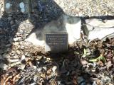 image of grave number 619363